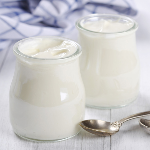 Production of yoghurt